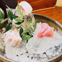 銀平 北新地店 - 