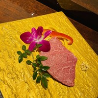 黒毛和牛焼肉 虎斑 北新地店 - 
