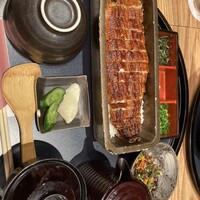 うなぎ四代目菊川 ミッドランドスクエア 名古屋本店 - 