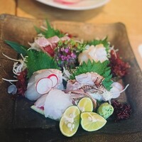 本等鮨 海馬 本店 - 