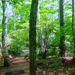 Yatsugadake Kurabu - 森の散策路