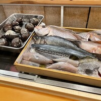 赤吉 - どれをどの様に調理しましょうか？左は赤貝、鯛に白甘鯛、鰆、ヒゲソリ鯛、河豚もあります