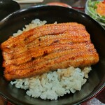 Unagi Hashimoto - 