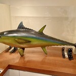 焼津港 みなみ - 南マグロ