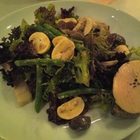 Benoit Alain Ducasse - 