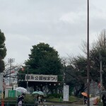 ぼらぼら - 錦糸公園は桜まつり開催中