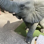 カフェ 太陽ノ塔 - 