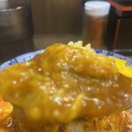 ヌードル＆スパイスカレー 今日の1番 - 本日のカレー(チーズ入りポークカレー) あっぷ