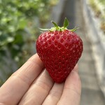 姫路ハートフル観光農園 - 