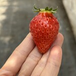 姫路ハートフル観光農園 - 