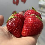 姫路ハートフル観光農園 - 