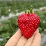 姫路ハートフル観光農園 - 