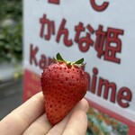 姫路ハートフル観光農園 - 