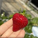 姫路ハートフル観光農園 - 