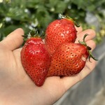 姫路ハートフル観光農園 - 