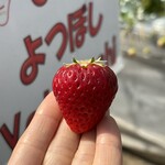 姫路ハートフル観光農園 - 