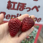 姫路ハートフル観光農園 - 