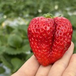 姫路ハートフル観光農園 - 