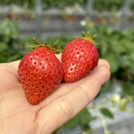 姫路ハートフル観光農園 - 