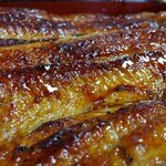 冨久家 - 料理写真:うな重　並