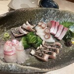 Shusai Takenoshita - 刺し盛り