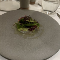 ARMONICO - 
