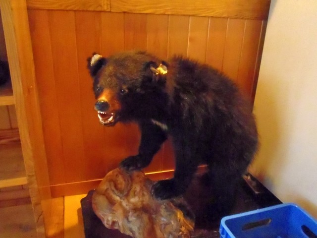 なるせ温泉　東仙歩 - 湯沢市その他（レストラン）の写真
