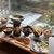 五穀豊穣のお茶屋ごはん五木茶屋 - 料理写真: