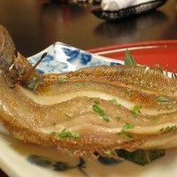 CADET 山田屋 - 