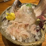 Yokohama Sakafune - 真鯛のお造り、ハラミは皮目を炙っていて、色々楽しめます