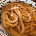 Marugame Seimen - かけ