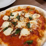 マンサク モデルナ - 