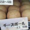 Pocha