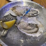 Oyster Bar ジャックポット - 