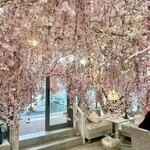 HAUTE COUTURE CAFE OMOTESANDO - 