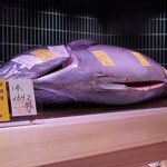 やま幸鮮魚店 - 下田産 延縄 164kgの本鮪！