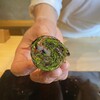 Sushi Sanshin - ハーブ巻き