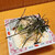 餃子ノ酒場ロッキー - 料理写真: