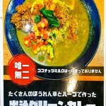 ジャパニーズ スパイス カリー ワッカ - 