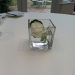 エメ・ヴィベール - 