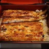 Unagi Shikinouta - 