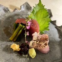 庵樹 - 