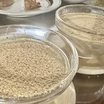 びすとろMARU - げんこつプリン