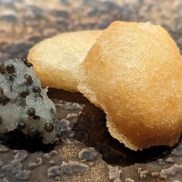 TOSAGE - 