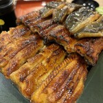 Unagi Kazutomo - 