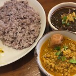 初台スパイス食堂 和魂印才たんどーる - 202402