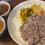 初台スパイス食堂 和魂印才たんどーる - 202403