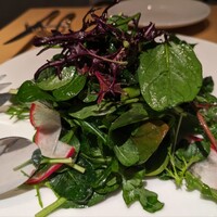 カンブーザ - サラダ