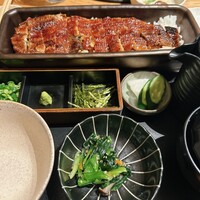 うなぎ四代目菊川 ムスブ田町店 - 
