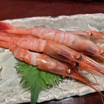 Gimpa Chi Zushi - 